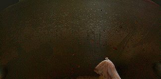 Vị nướng hấp dẫn chuẩn vị ngon của Indonesia