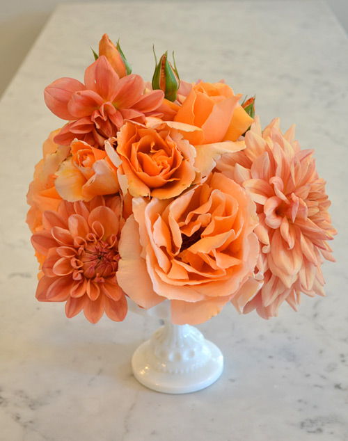 Cách cắm hoa thược dược và hoa hồng để bàn đẹp