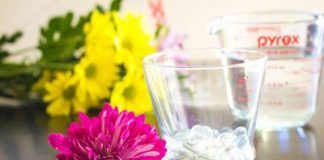 cach_cam_hoa_trong_nuoc