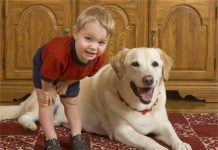 Mẹo chọn thú cưng làm bạn với bé