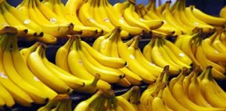 Những tổn hại sức khỏe do ăn quá nhiều chuối