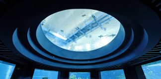 Ghé thăm thủy cung lớn nhất Singapore