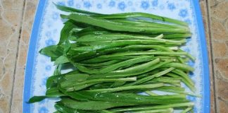 Công dụng chữa bệnh thần kỳ của rau mùi tàu