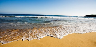 Chúng ta thường quên cách tự làm mình vui...