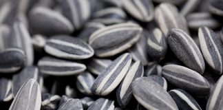 4 loại hạt chống oxy hóa cho cơ thể