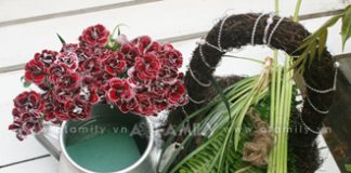 Trổ tài cắm hoa để bàn 8/3 cho phái mạnh 'ngây ngất'