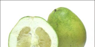 Hướng dẫn những bài thuốc từ bưởi