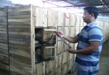 Hướng dẫn kinh nghiệm nuôi rắn