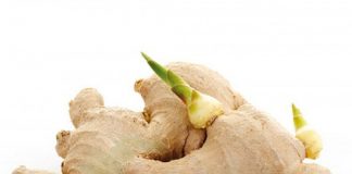 5 thực phẩm mọc mầm nguy hại sức khỏe bạn cần tránh