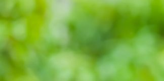 Khắc phục tóc khô, chẻ với những mẹo đơn giản và rẻ tiền