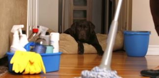 Lưu ý khi chuyển nhà mới - 1