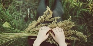 Chồng soái ca: Thôi, mẹ mày kệ nó đi!