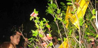 7 phong tục không thể thiếu cho năm mới nhiều may mắn