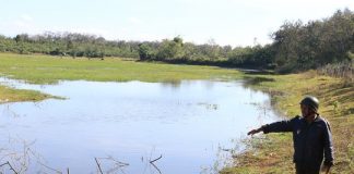 Bố mẹ đi làm xa, 2 con ở nhà chết đuối thương tâm