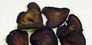 Hướng dẫn trị huyết áp thấp bằng thảo dược