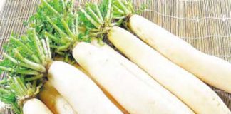 Thực phẩm tốt nhất cho người bị vàng da