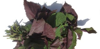 Cách nấu cháo trứng gà tía tô vừa ngon vừa bổ