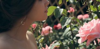 Phụ nữ ơi… xin hãy cứ dịu dàng