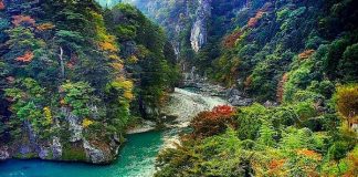 Ghé thăm vườn quốc gia Nikko Nhật Bản