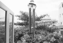 Bí mật của vận may Bí mật của vận may