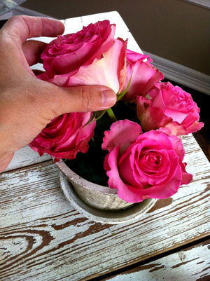 Cách cắm hoa hồng trong chậu nhỏ vừa đơn giản vừa xinh