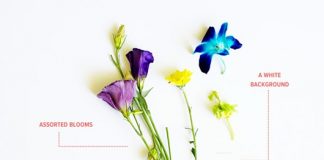 Làm sao để độc đáo bức tranh hoa - 1