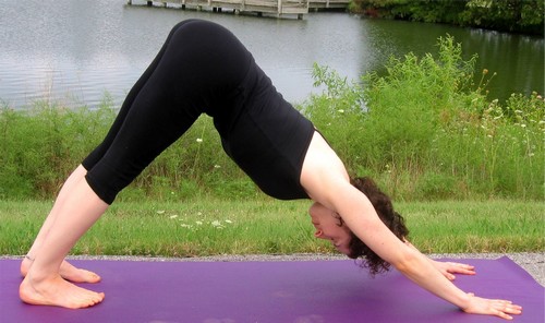 11 tư thế Yoga cơ bản nhất cho người mới tập