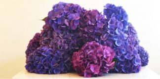 Cách cắm hoa đẹp, đơn giản chỉ 15 phút với 3 mẫu hoa