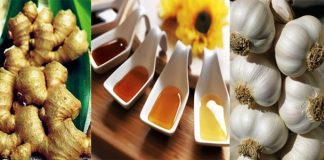 Đừng vội uống thuốc, hãy dùng kháng sinh tự nhiên