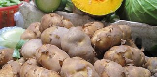 Hướng dẫn bài thuốc dân gian chữa viêm họng