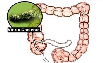 Các bệnh truyền nhiễm thường gặp vào mùa thu - 1