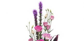 Các kiểu cắm hoa hồng cực đơn giản gái đảm nên biết