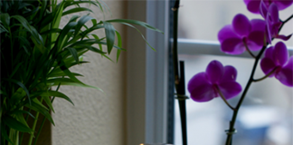 Tận dụng bể cá ngay để làm đèn ngủ xinh lung linh