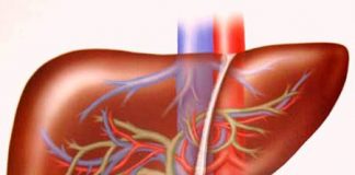 Những lưu ý với người bệnh viêm gan B - Sức Khỏe - Bệnh viêm gan - Sức khỏe gia đình