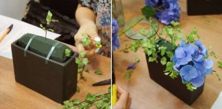 cach_cam_hoa_cat_tuong_dep_diu_mat_cho_ngay_he_1