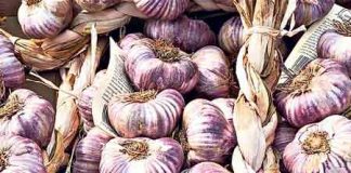 Bí quyết phòng ngộ độc thịt