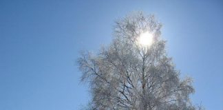 Đẹp mê ly thiên đường tuyết trắng  - 11