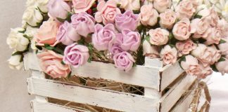 Làm xe kéo chở đầy hoa làm quà Valentine cho bạn gái