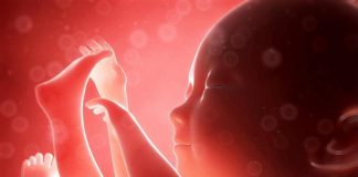 Khi đọc bài này bạn sẽ không bao giờ muốn phá thai