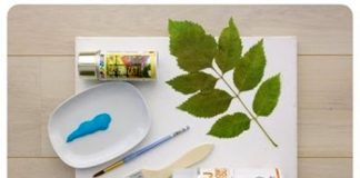 Làm nhanh tranh treo tường đẹp từ lá cây - 1