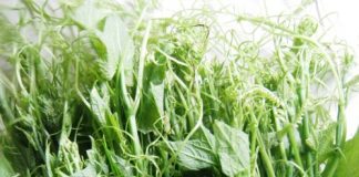 Ngọn su su xào tôm giòn giòn, ngon tuyệt