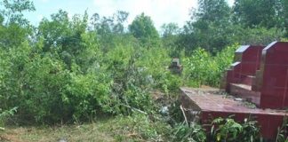 Cái chết lãng xẹt của đại ca giang hồ Hà thành, Sài Gòn, Vũng Tàu