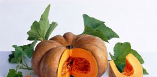 Tác dụng chữa bệnh của bí đỏ