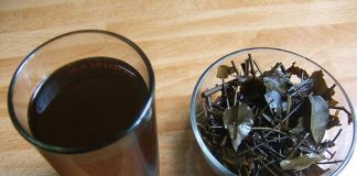 3 loại chè có tác dụng thanh nhiệt, tốt cho sức khỏe