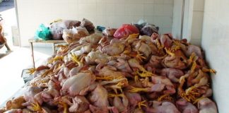 cac-loai-thuc-pham-trung-quoc-doc-hai-can-tranh-xa-lamsao.com-1