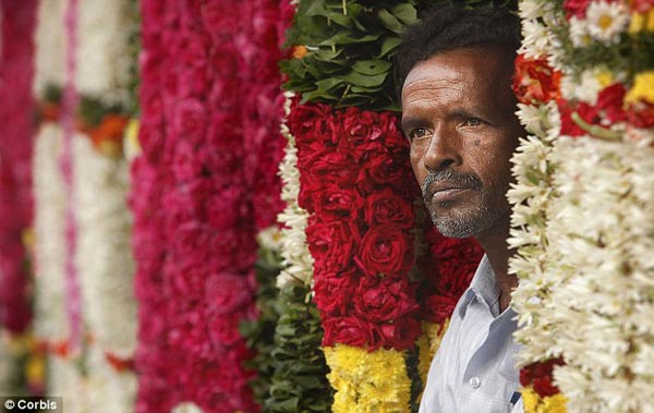 Du lịch Chennai Ấn Độ với vẻ đẹp của hoa nhài