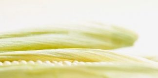 8 loại thực phẩm giúp lưu thông mạch máu 1