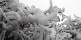 Sa Pa, Mẫu Sơn có thể xuất hiện băng giá