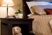 Cách thiết kế chuồng nuôi thú cưng trong nhà