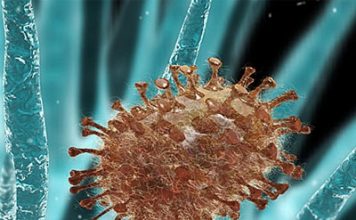 Làm sao để không bị nhiễm virut cúm - 1